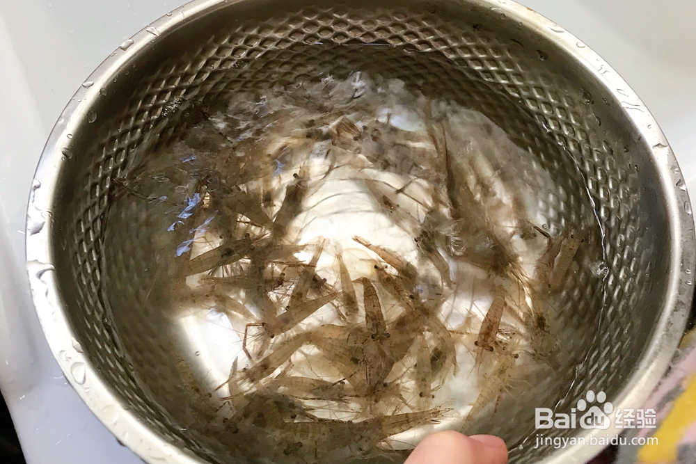 韭菜炒河虾太太乐鲜鸡汁海鲜美食教程