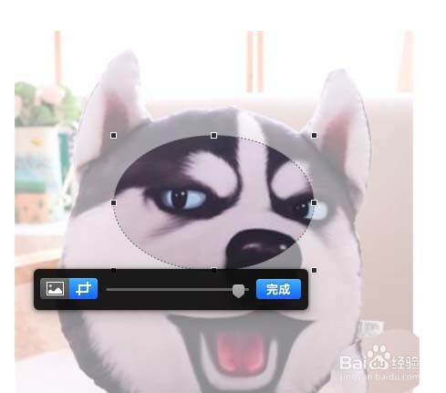 pages怎么遮盖图片实现裁剪效果?