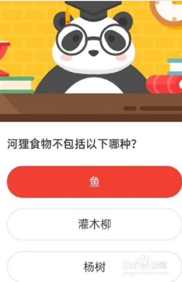 微博森林驿站8.27河狸食物不包括以下哪种