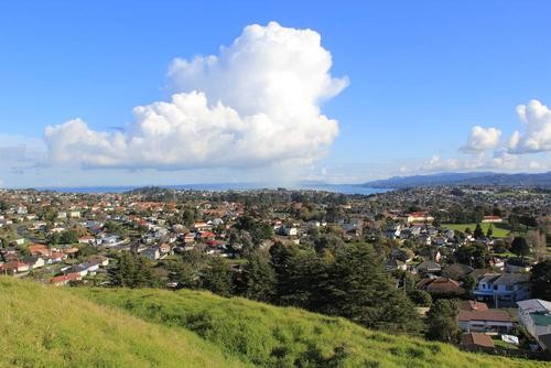 请问新西兰奥克兰的邮编是多少