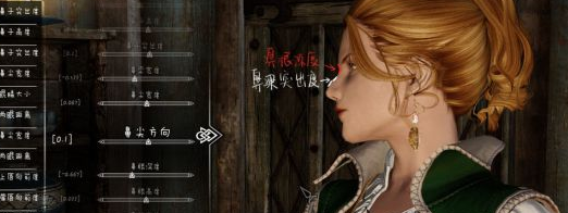 上古卷轴游戏捏脸技巧