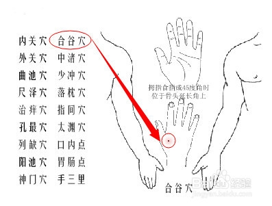 不花钱、最安全、人人都会的养生保健经验分享