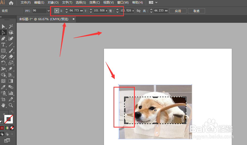 AI中怎样裁剪图片显示画面
