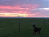 最美草原自由行