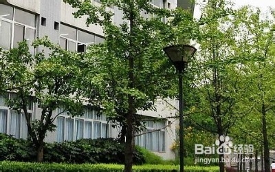 怎样正确的对待爱情