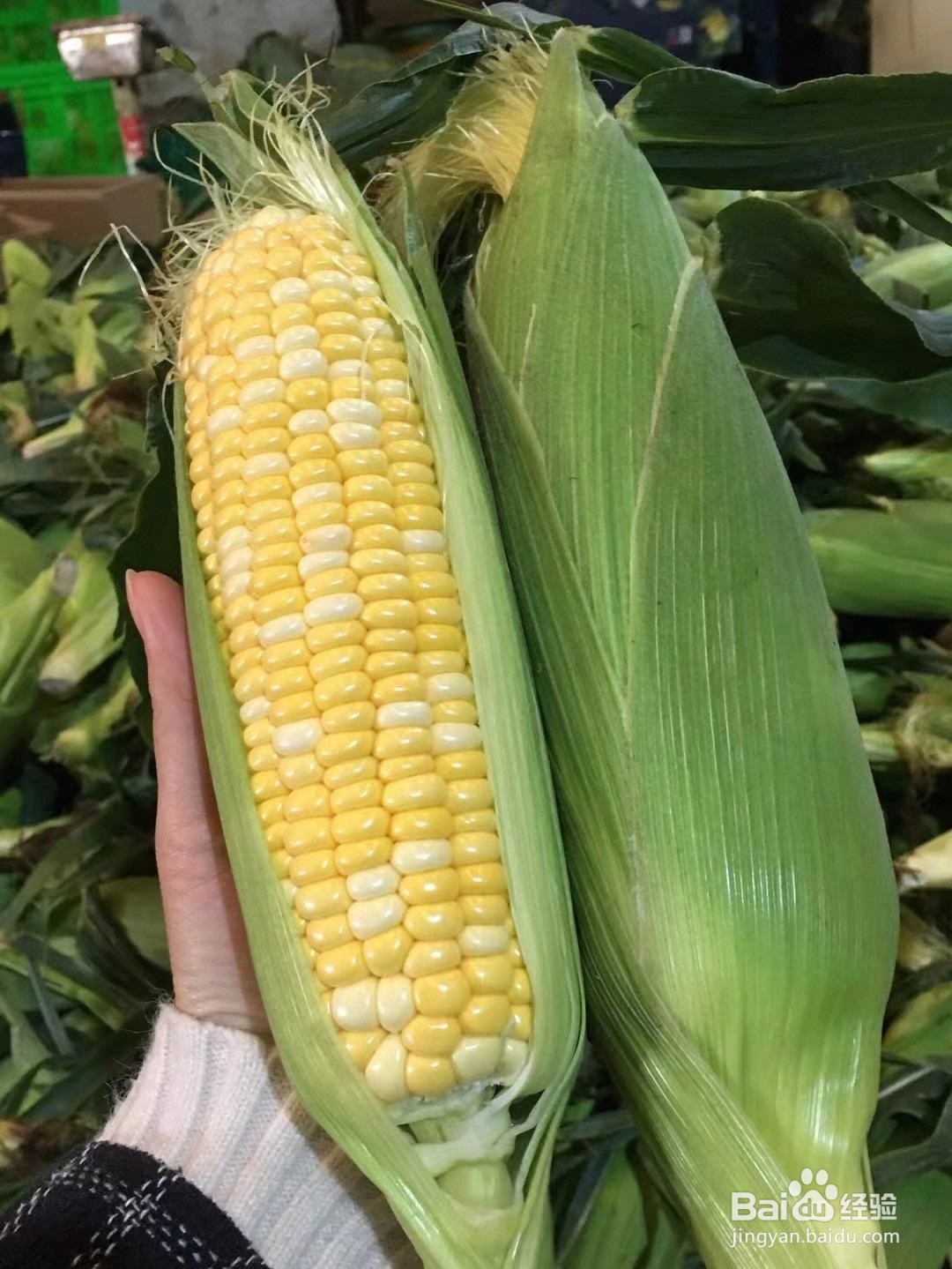 如何健康快速瘦身