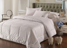 不同的被子应该怎么放菌除味?