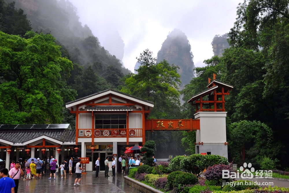 宜昌到张家界旅游攻略