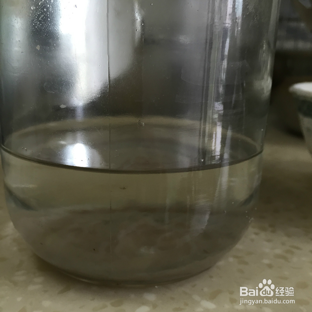 有韧性的胆水豆腐