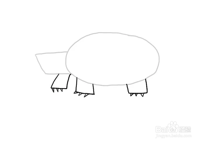怎么画甲鱼？