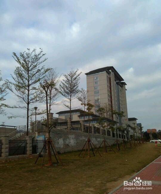 厦门驾照期满换新怎么办理？