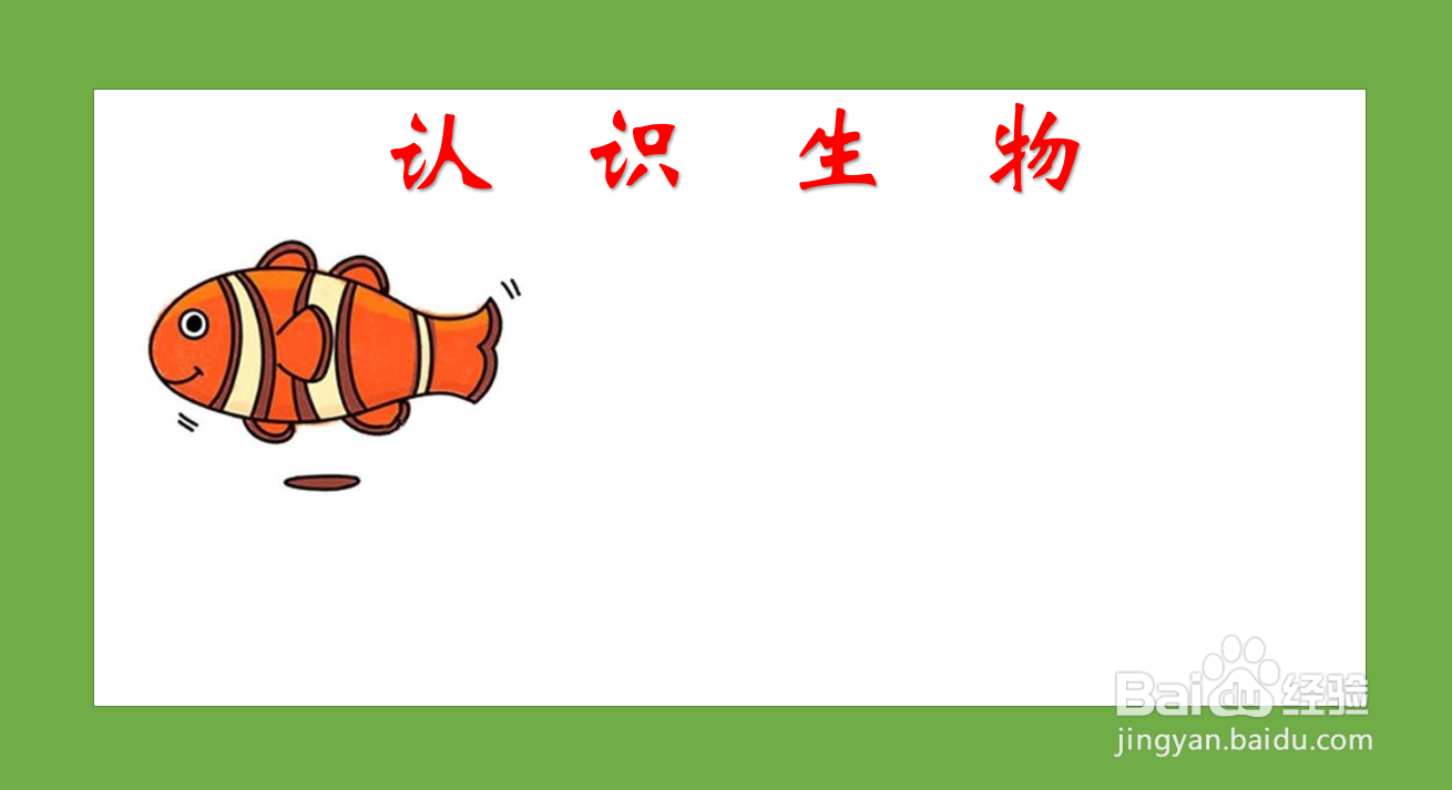 生物手抄报简单又漂亮