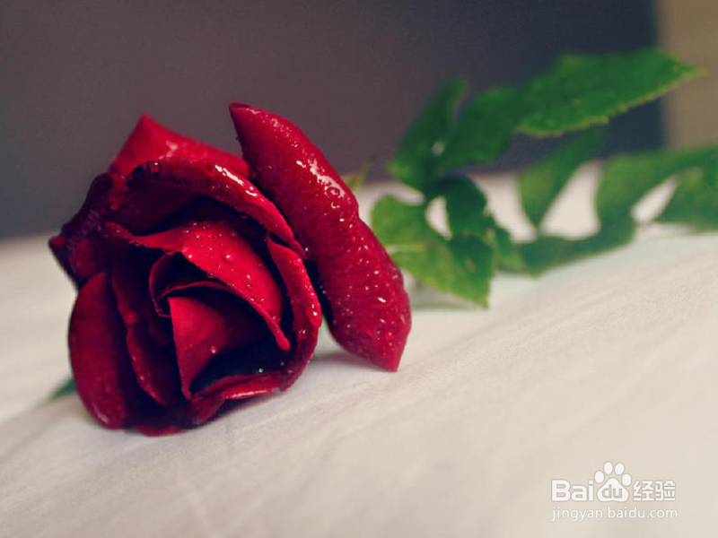 如何判断男朋友是否对自己说慌