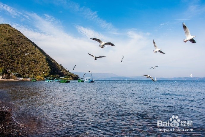 唯美的恋爱心理活动