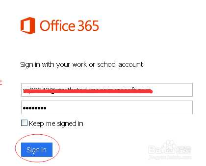 office 365 for windows