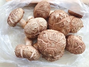 家庭版红枣花菇蒸鸡