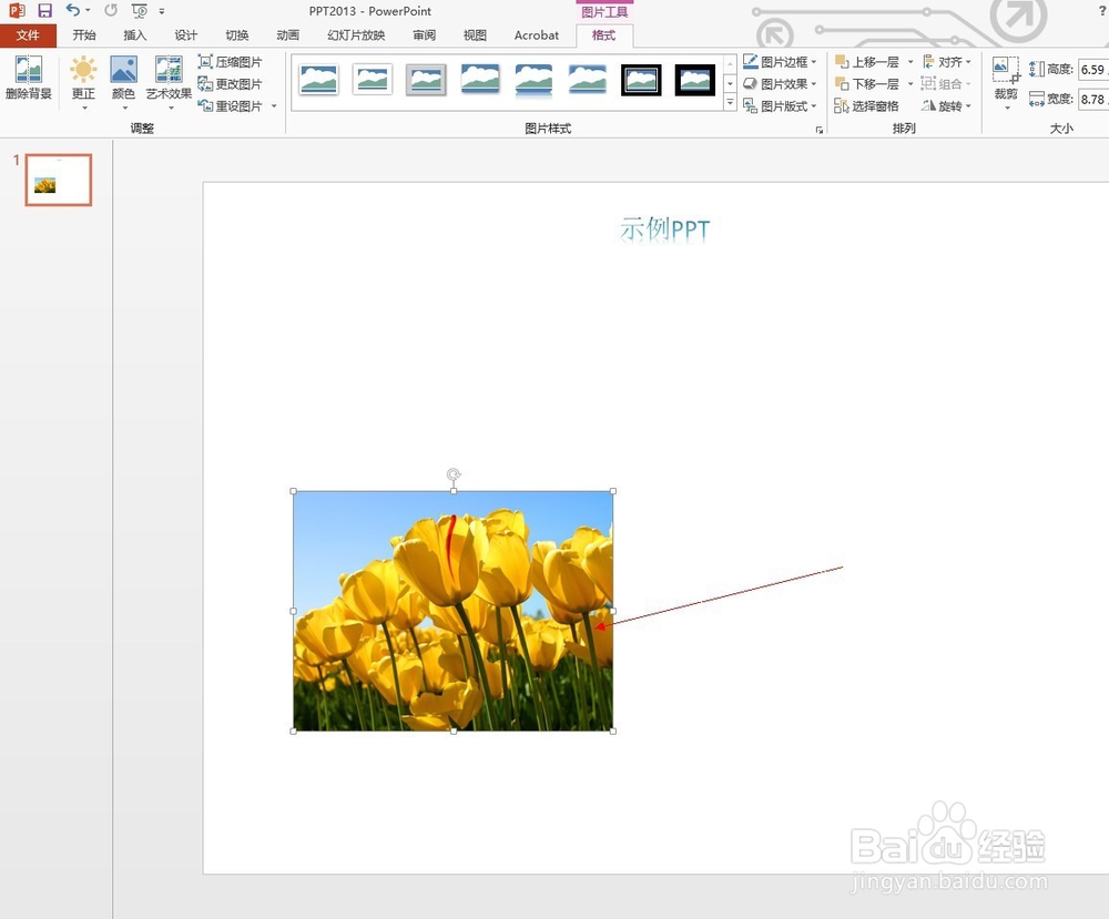 在PPT中如何插入图片