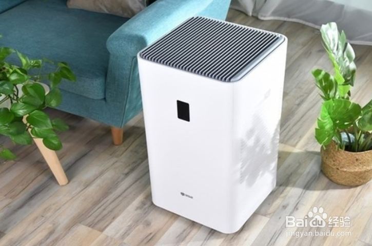 刚装修完去除甲醛最好办法