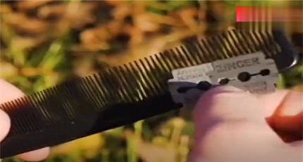 如何学会野外生存小技巧