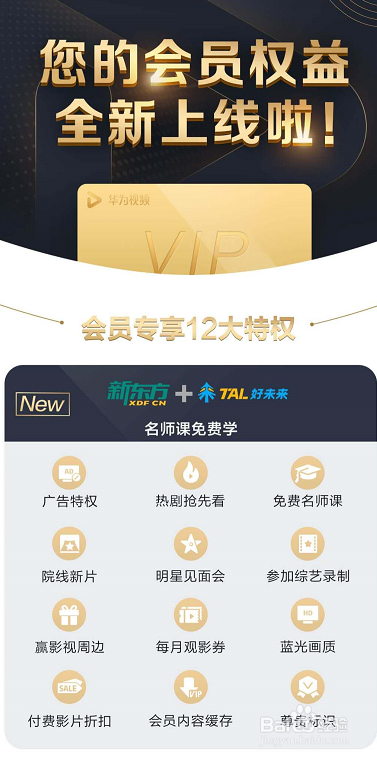 HMS的华为视频会员有什么权益