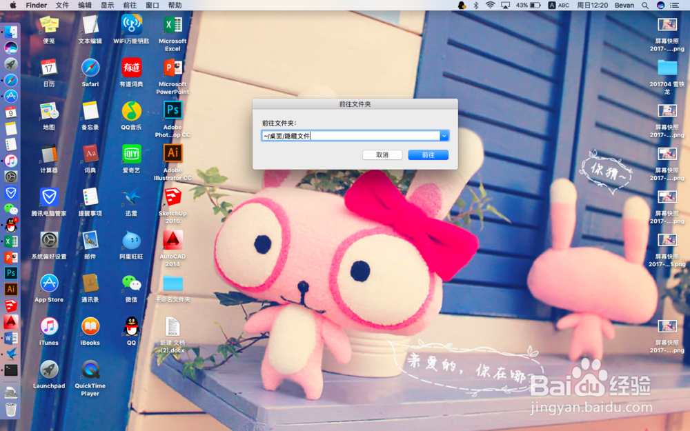 苹果电脑MAC怎么隐藏和查看文件或文件夹