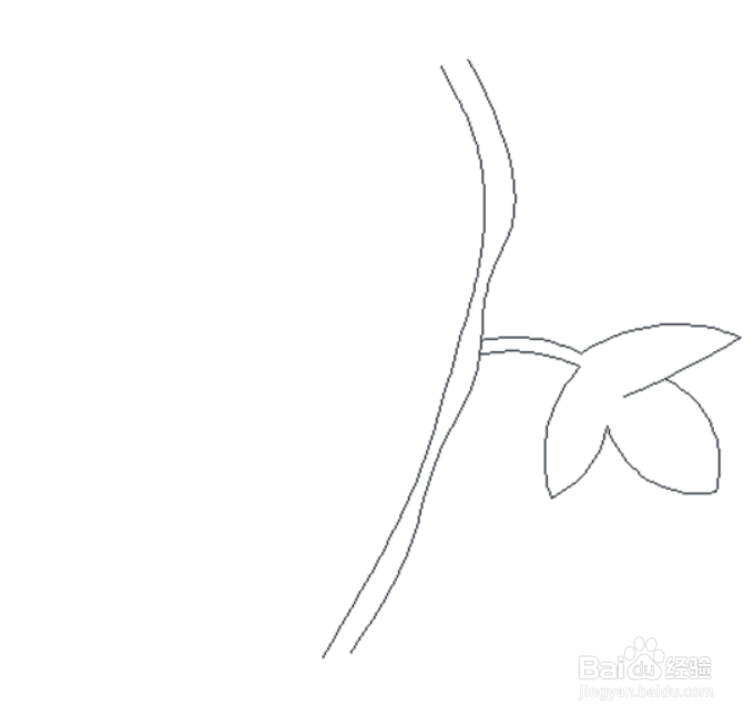 爬山虎的脚简笔画