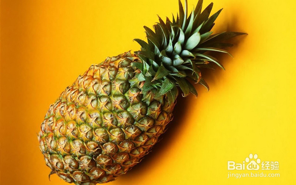 入药的佳果的制作方法