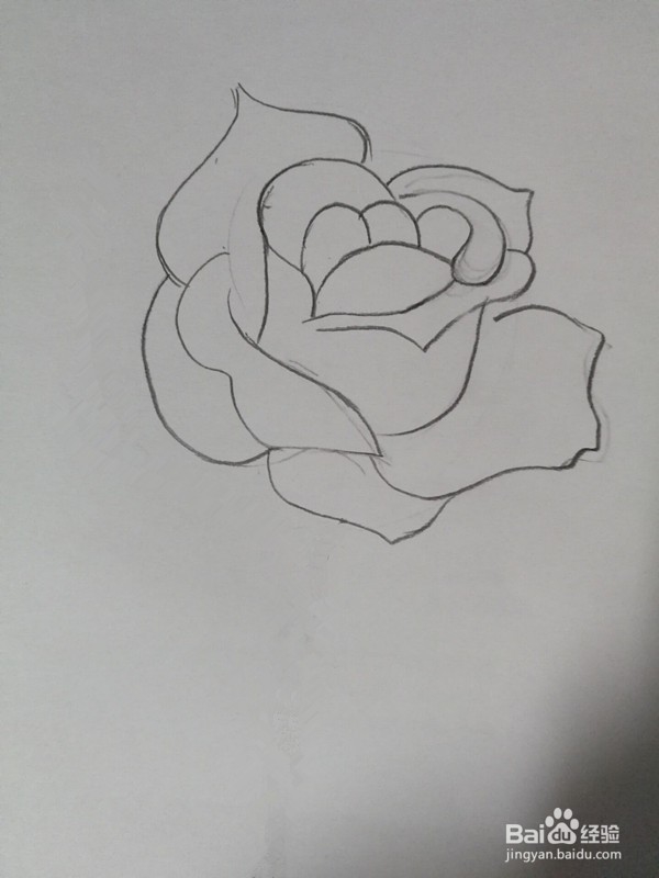 简笔画----玫瑰的画法
