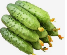 帮助燃脂的食物有哪些