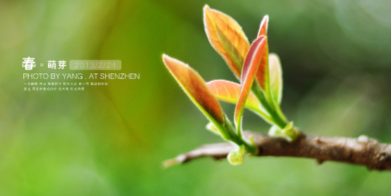 如何快速背诵《春》