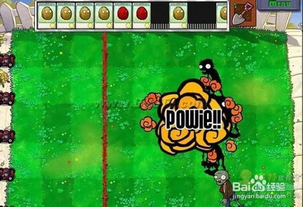 《植物大战僵尸》第一大关详细流程攻略