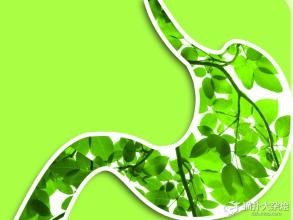 只有肠健康才能人长寿