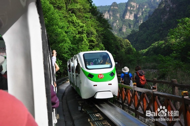 河池到张家界自驾游