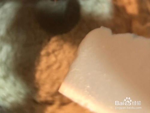 生酮版法芙娜可可雪糕