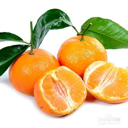 种植柑橘需要注意哪些?