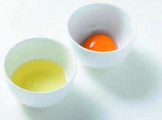 蛋黄与蛋清，哪个更适合宝宝？