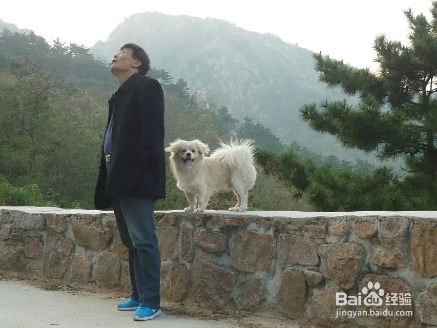 生活中的拍照技巧