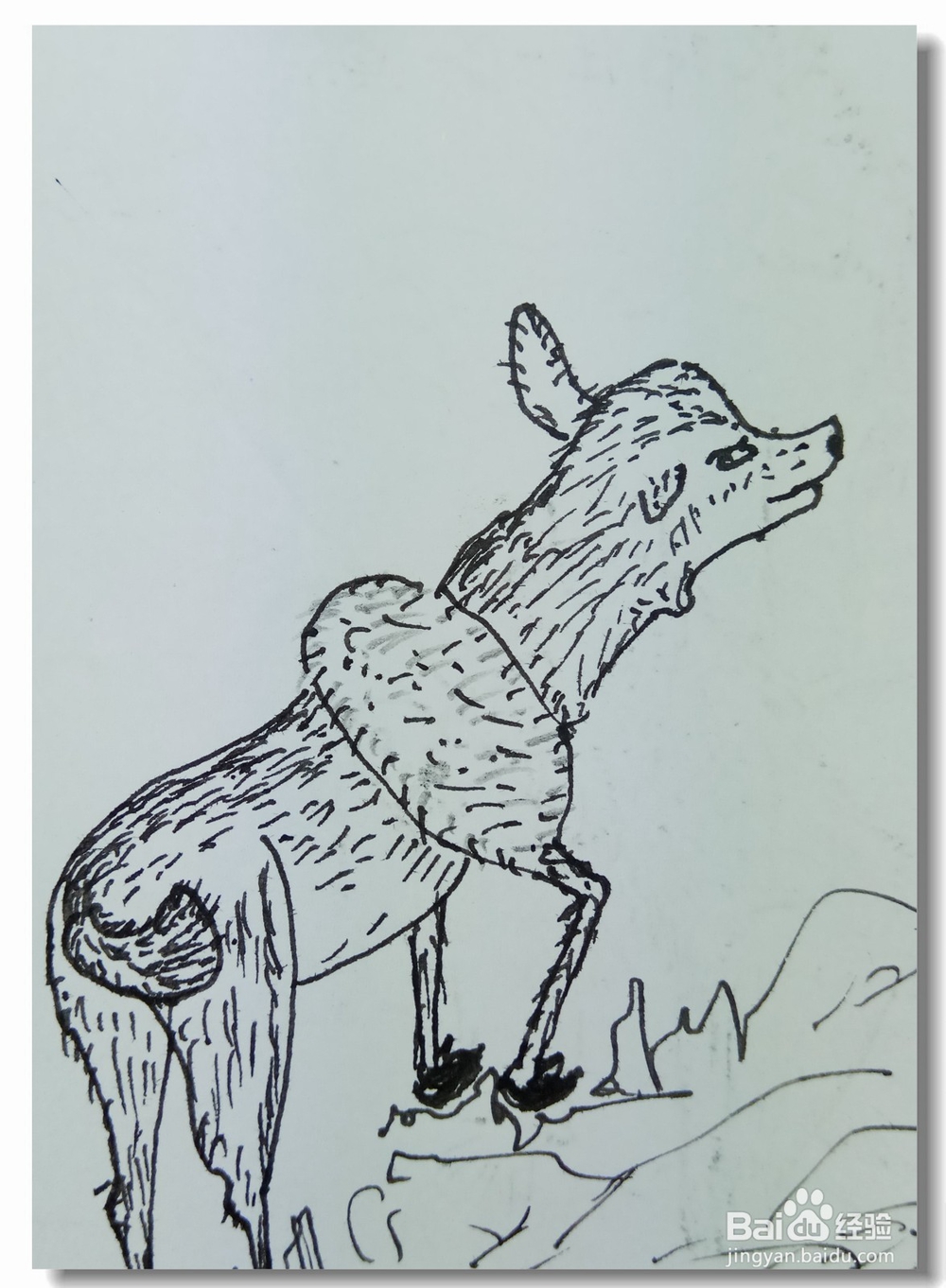 怎样画钢笔画“寻鹿”？