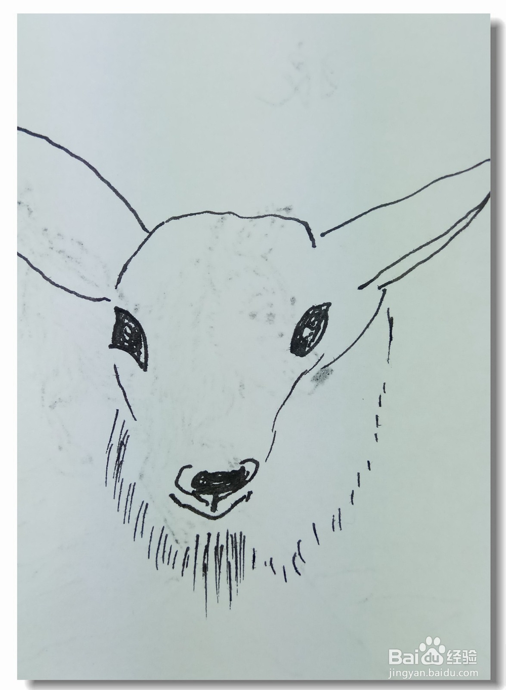 怎样画简笔画“小鹿头”