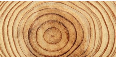 早上起来，面向太阳如何辨别方向