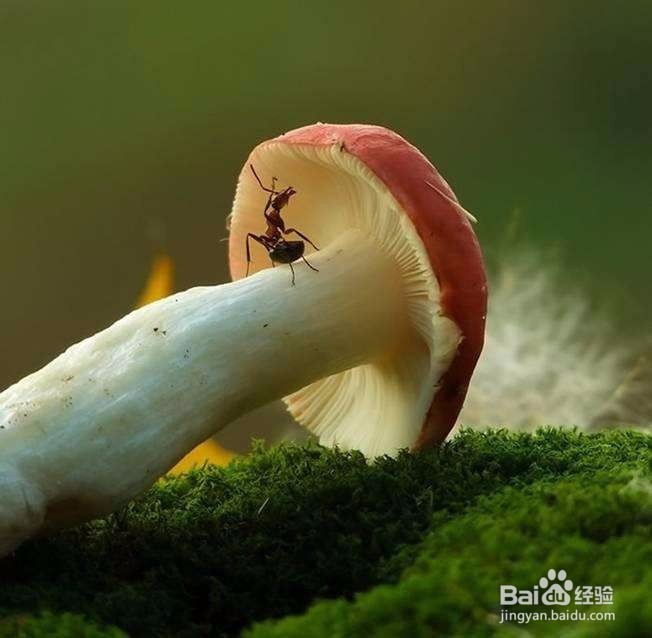 怎么坚持做好一件事