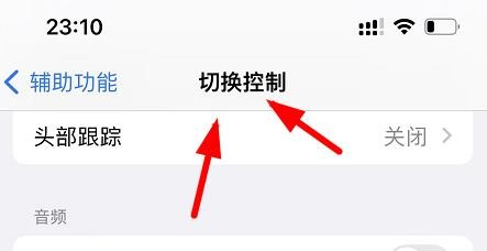 iPhone13如何设置切换控制的声音效果属性