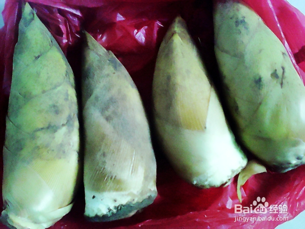 冬笋拌老坛酸菜