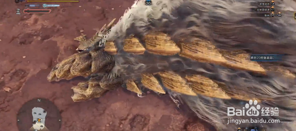 怪物猎人rise狩猎王硬币怎么出啊