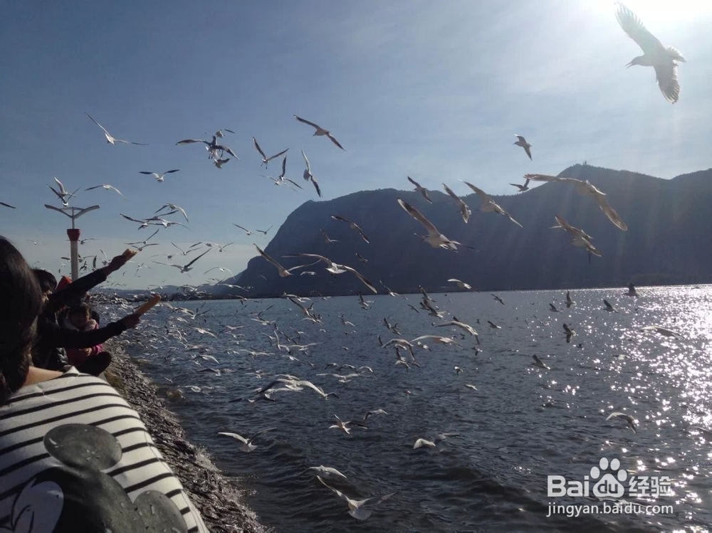 昆明冬季一日游攻略