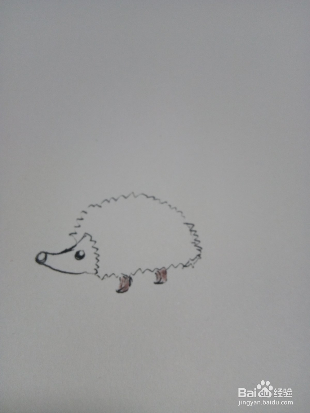 幼儿简笔画小刺猬