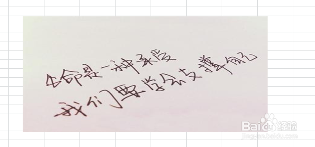 excel中图片调整的众多技巧