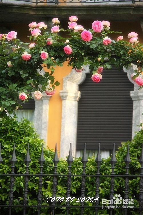 [转载]攀上梦的边缘开放