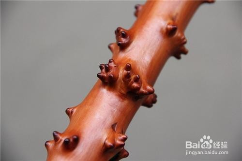 怎样打磨檬子木