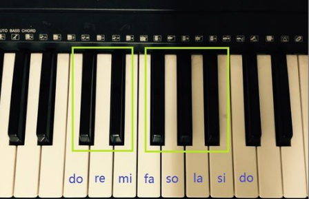 电子琴各音符对应的手指是什么